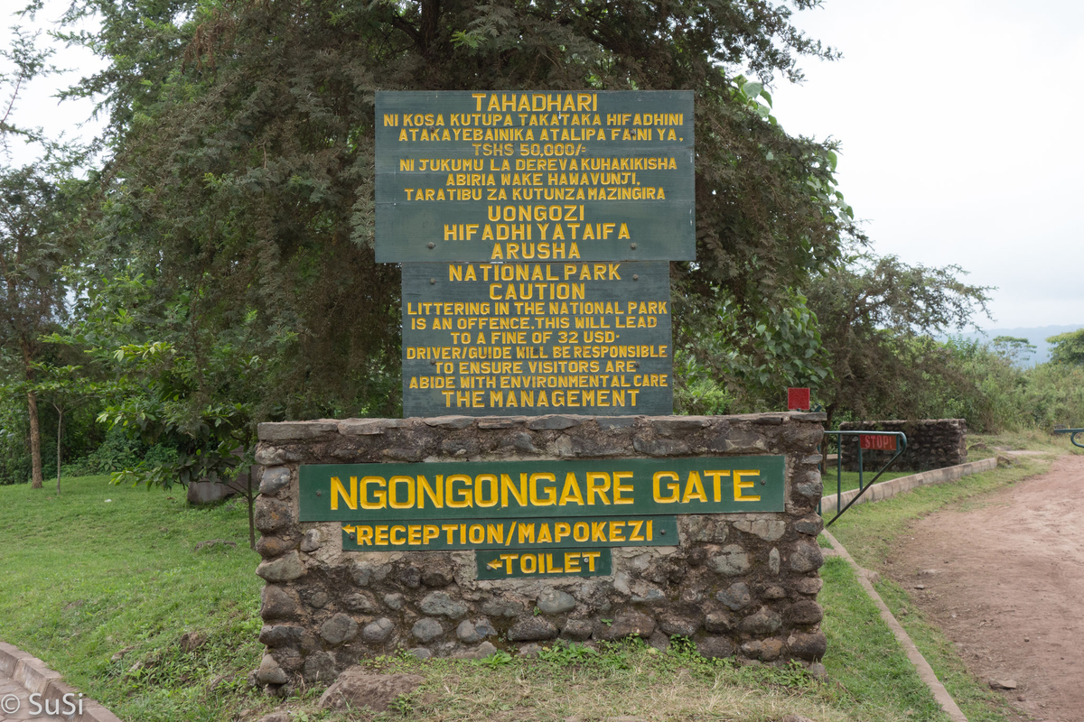 Ngorogoro Garte Arusha Park