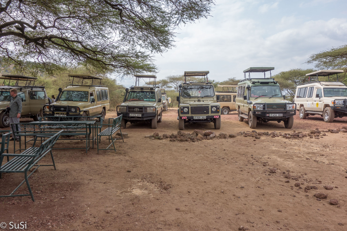 Safari Fahrzeuge auf Picknickplatz