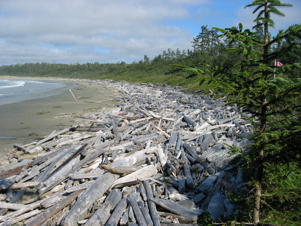 Wickaninnish Beach