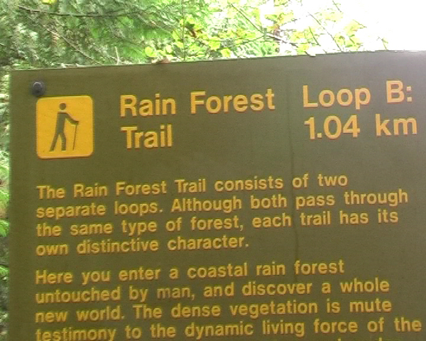 Rainforest Trail