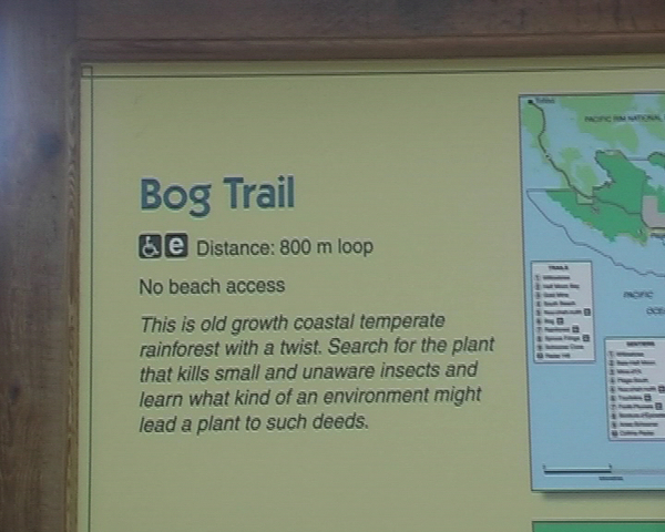 Bog Trail