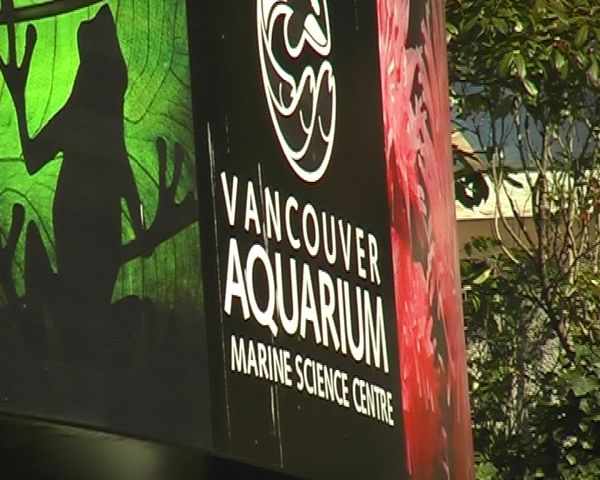 Vancouver Aquarium