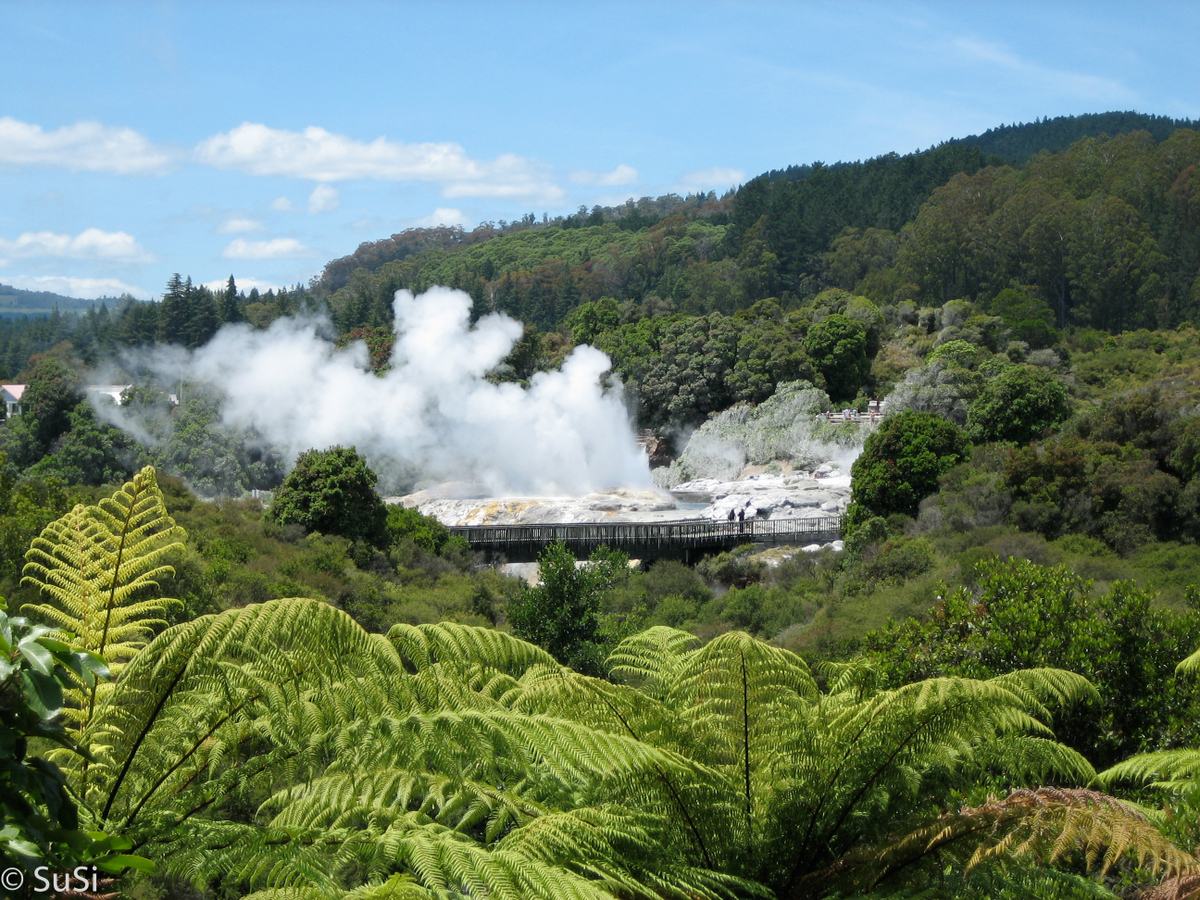 Roturua - Te Puia Thermal Reserve