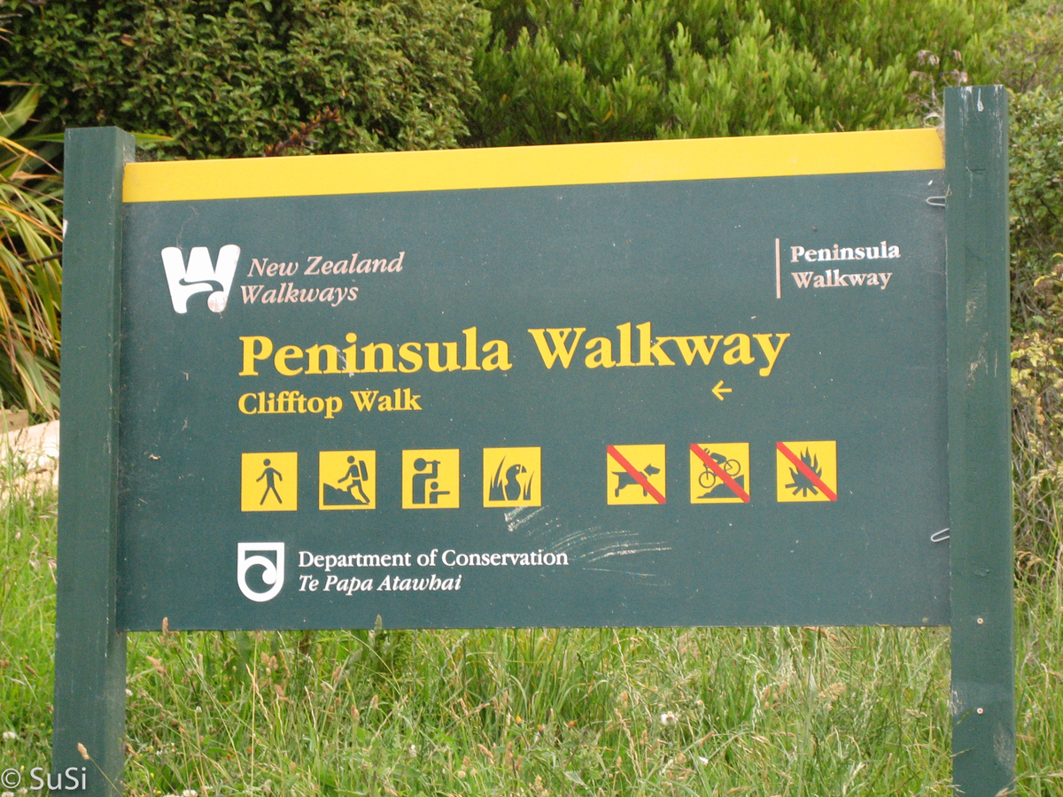 Kaikoura Peninsula Walkway
